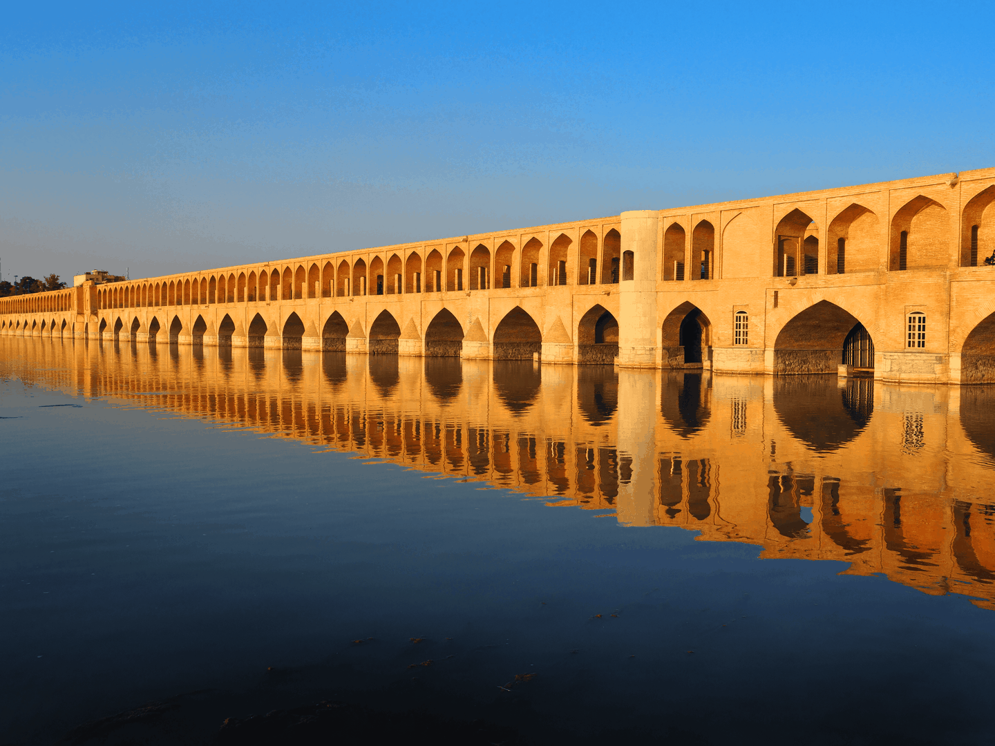 صورة العنصر