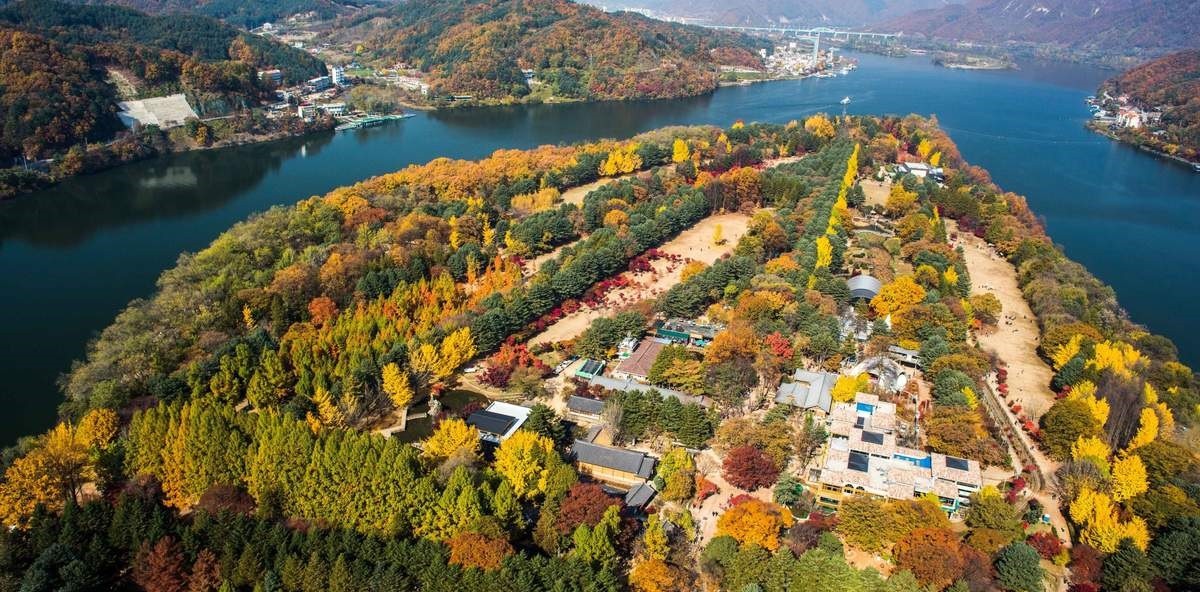 صورة العنصر