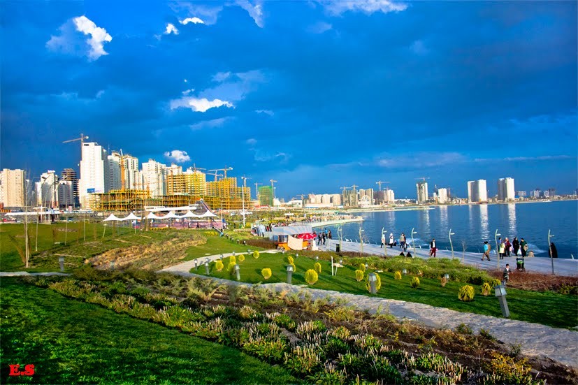 صورة العنصر