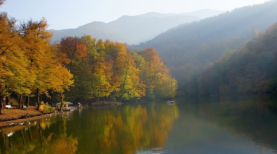 صورة العنصر