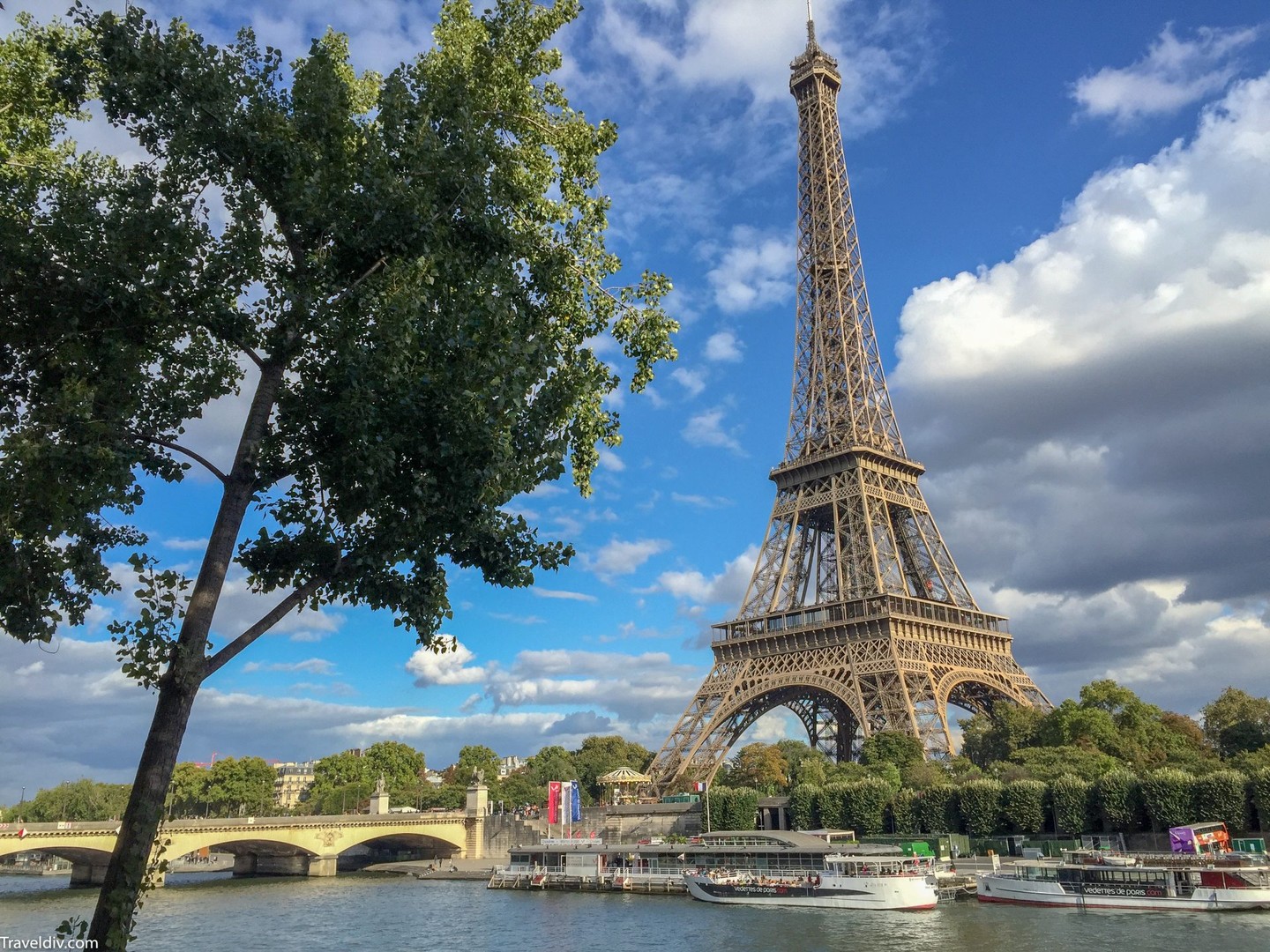 صورة العنصر