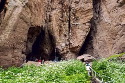 صورة العنصر