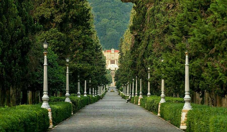 صورة العنصر
