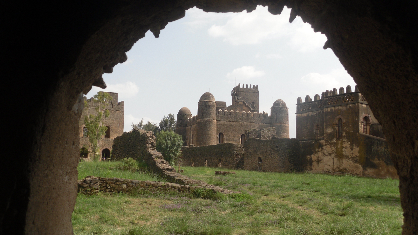 صورة القسم