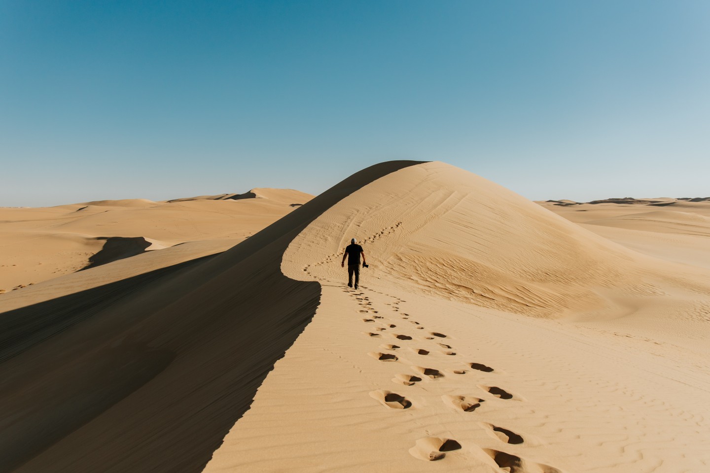 صورة المعرض