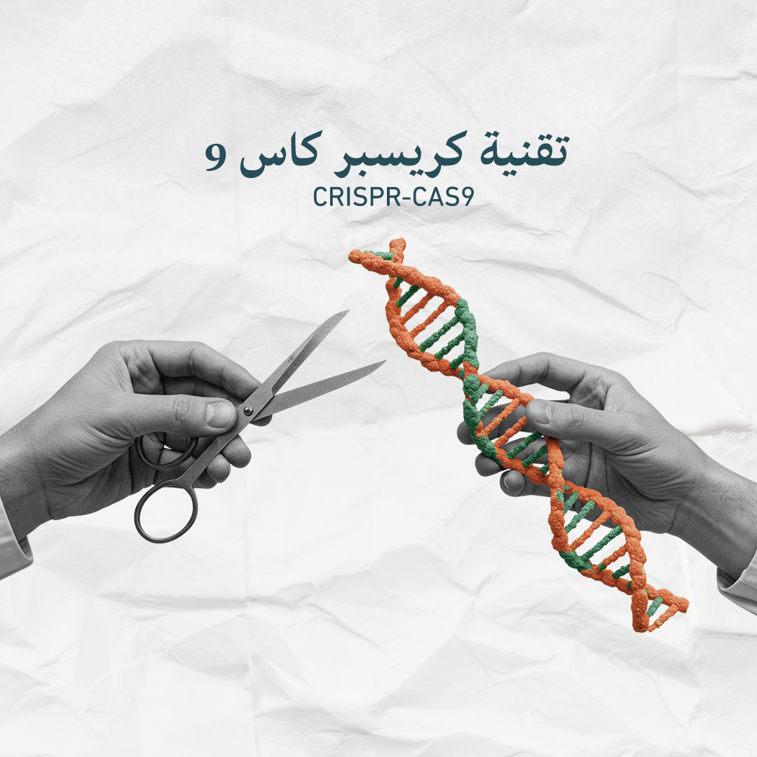 صورة العنصر