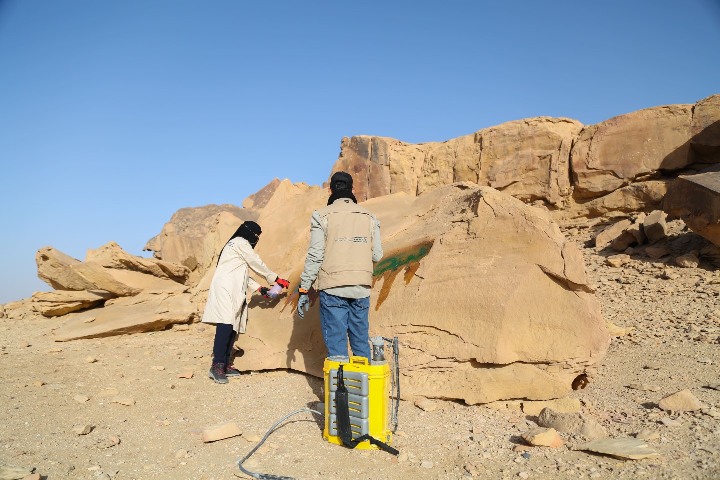 صورة المعرض