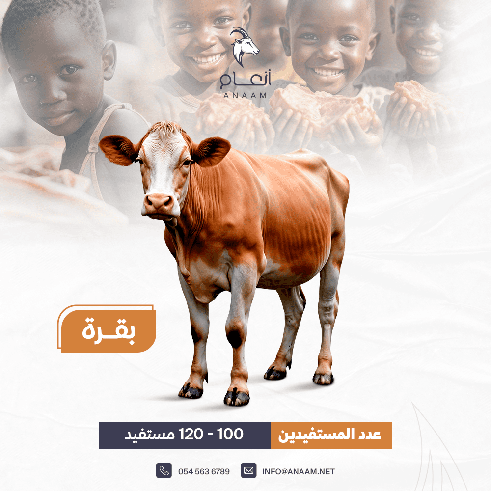 صورة المعرض