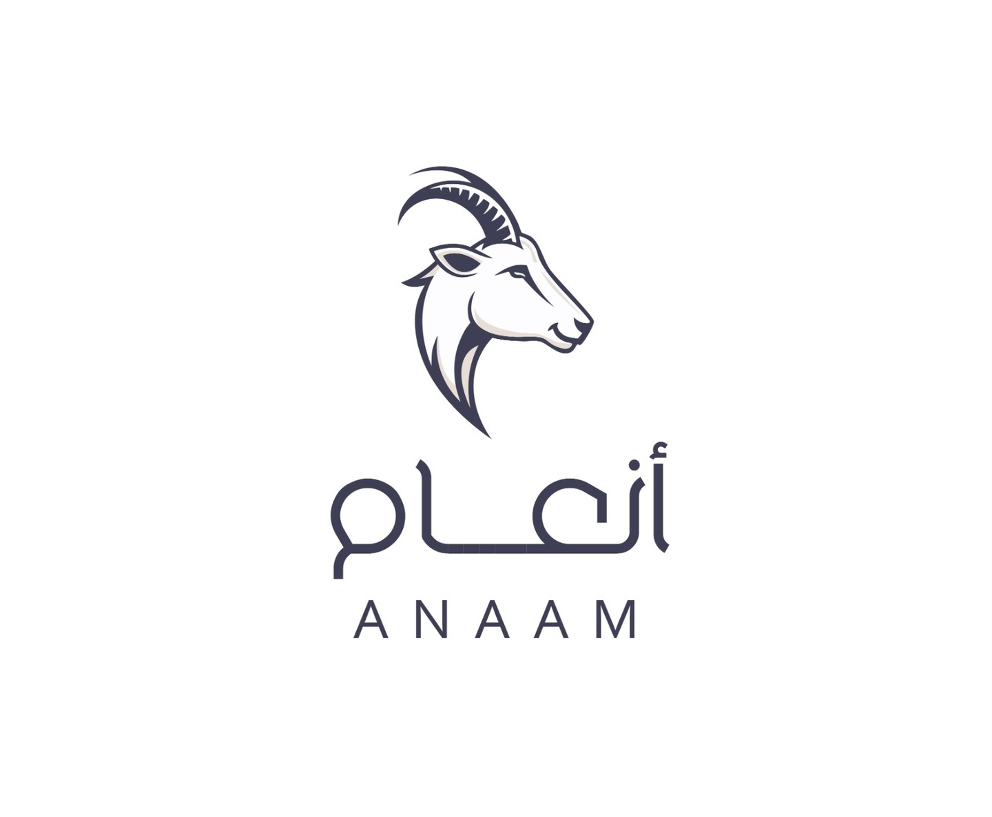 صورة القسم