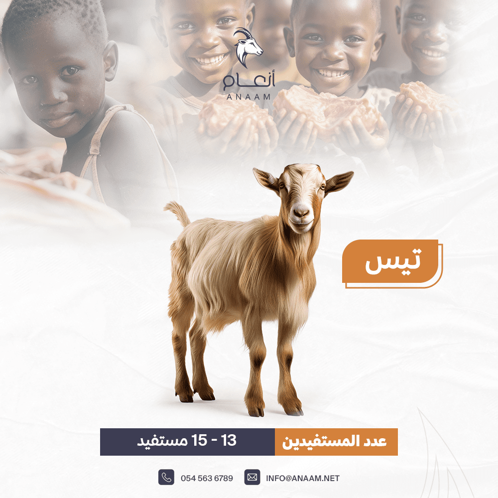صورة المعرض