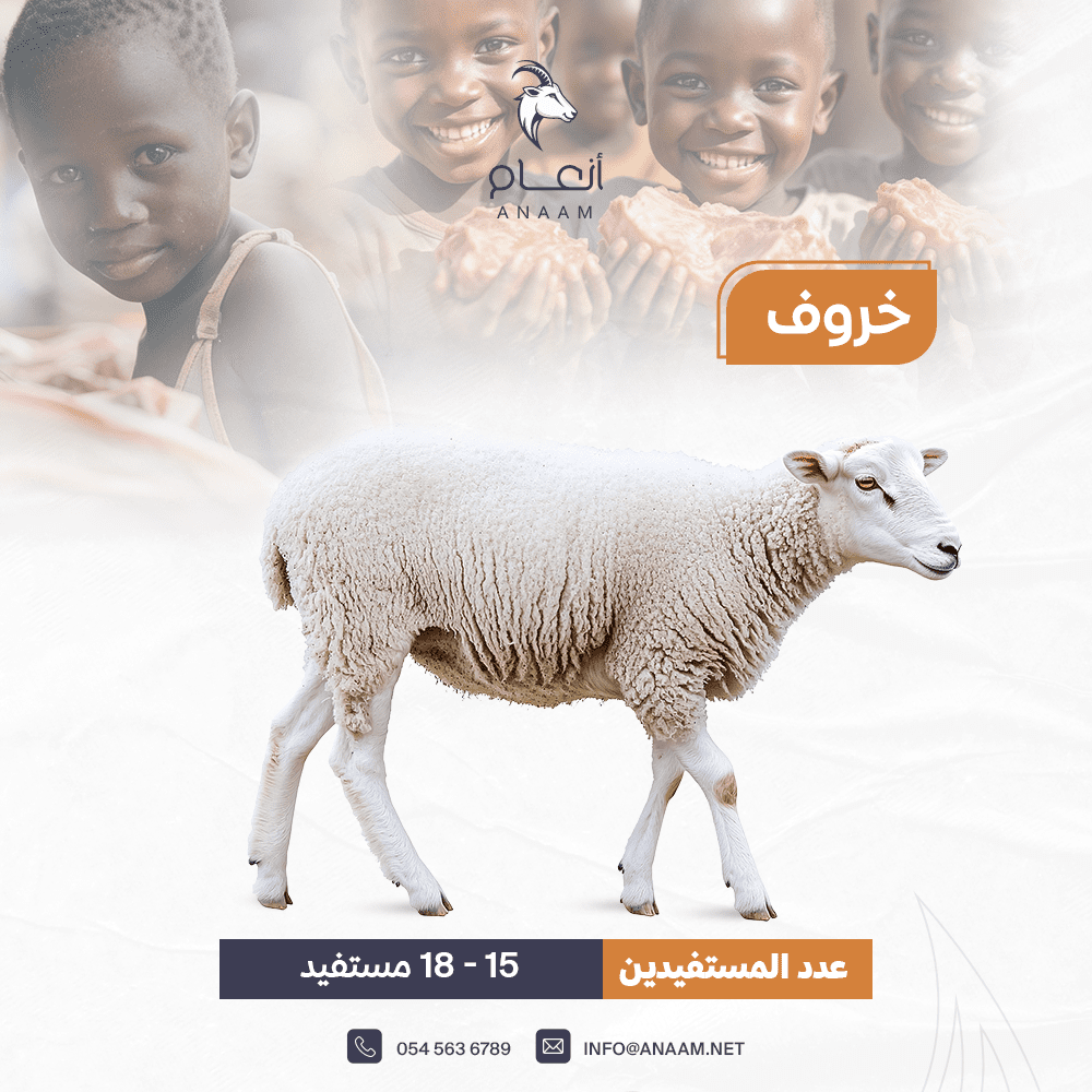 صورة المعرض