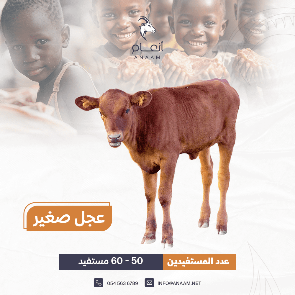 صورة المعرض