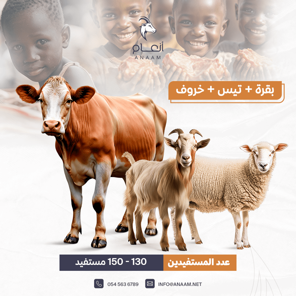 صورة المعرض