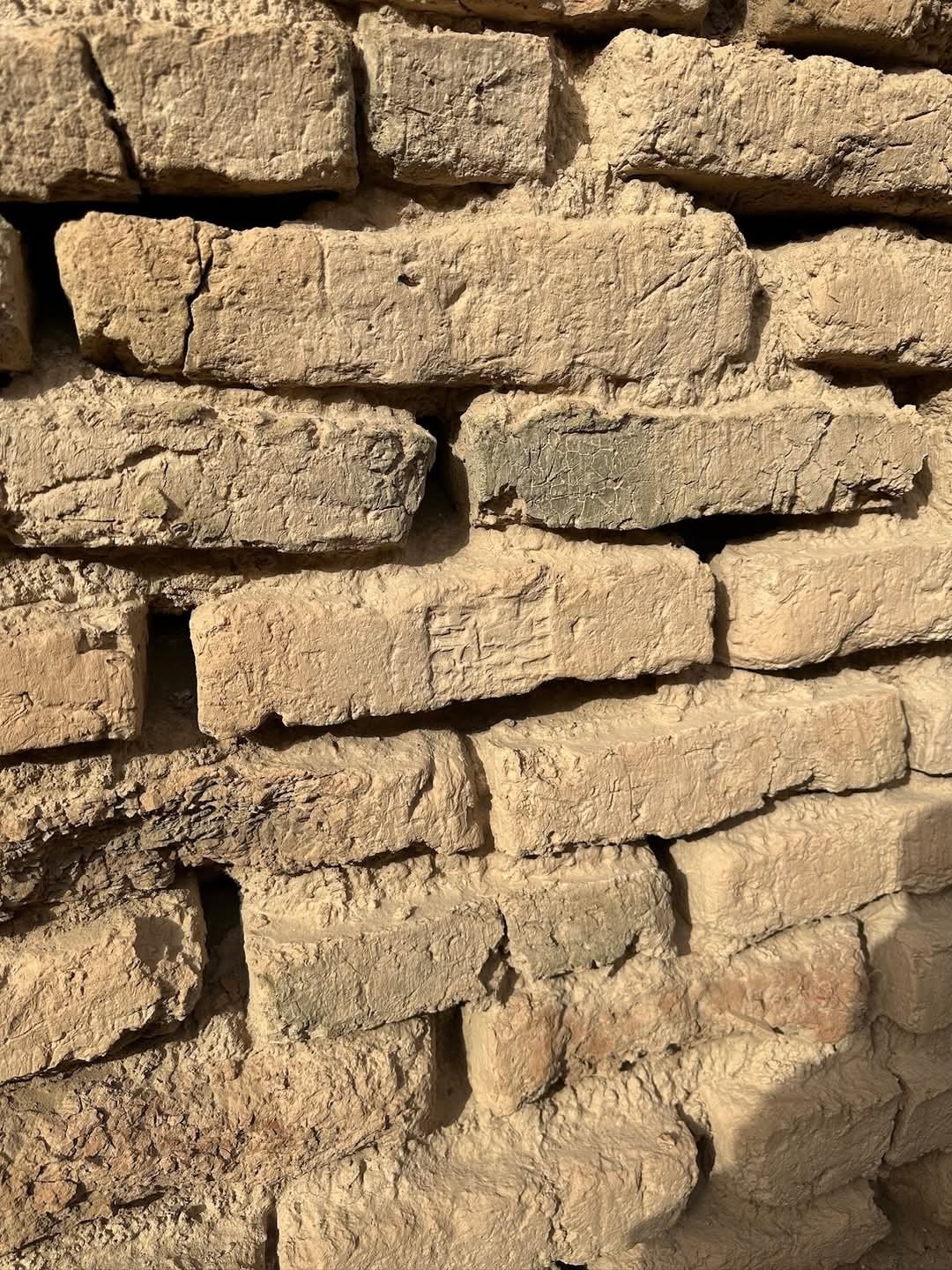 صورة المعرض