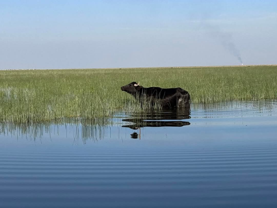 صورة المعرض