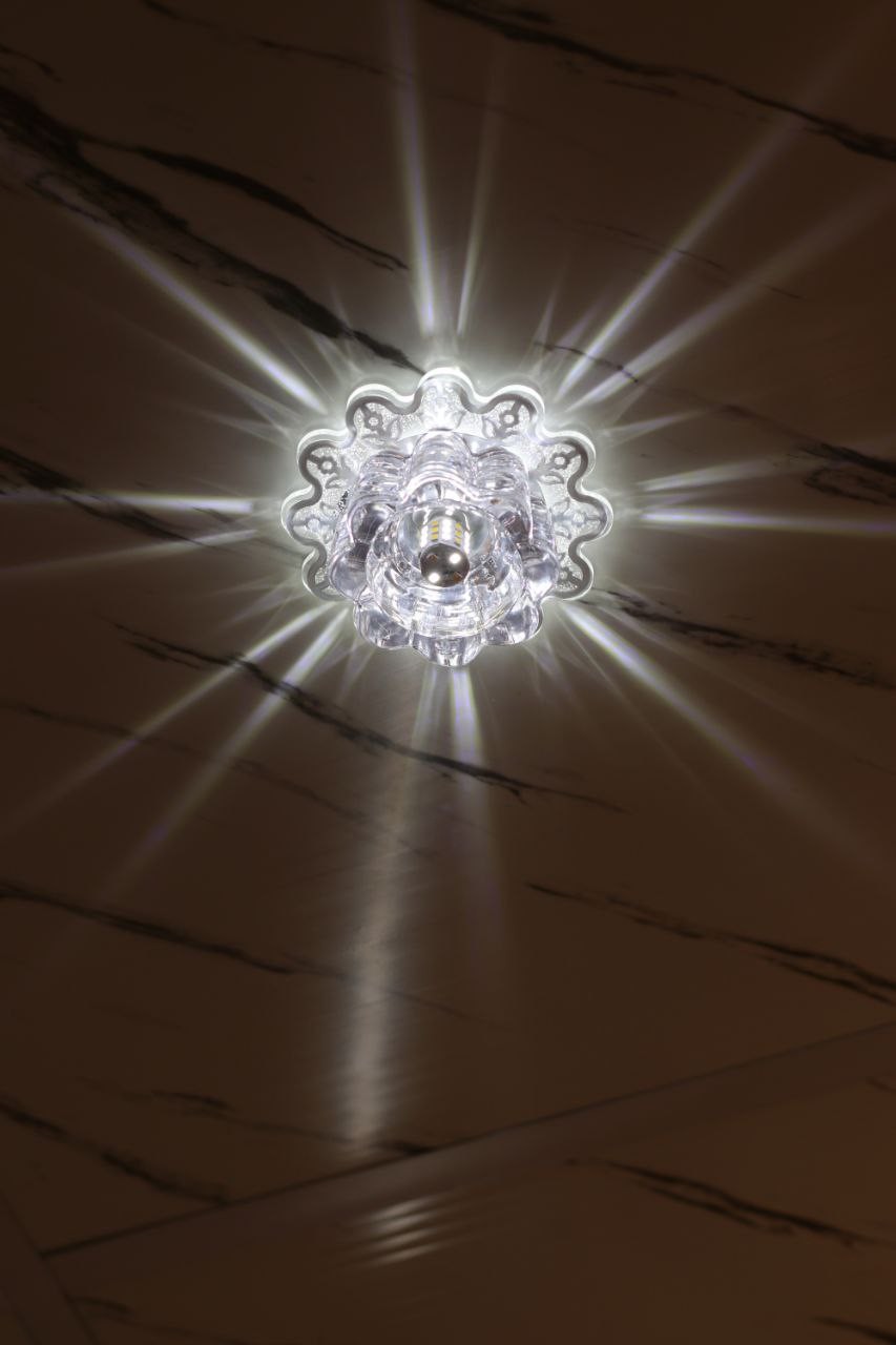 صورة العنصر