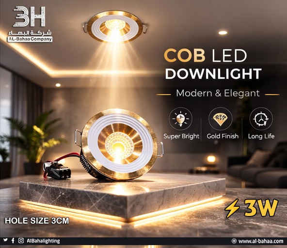 صورة المعرض