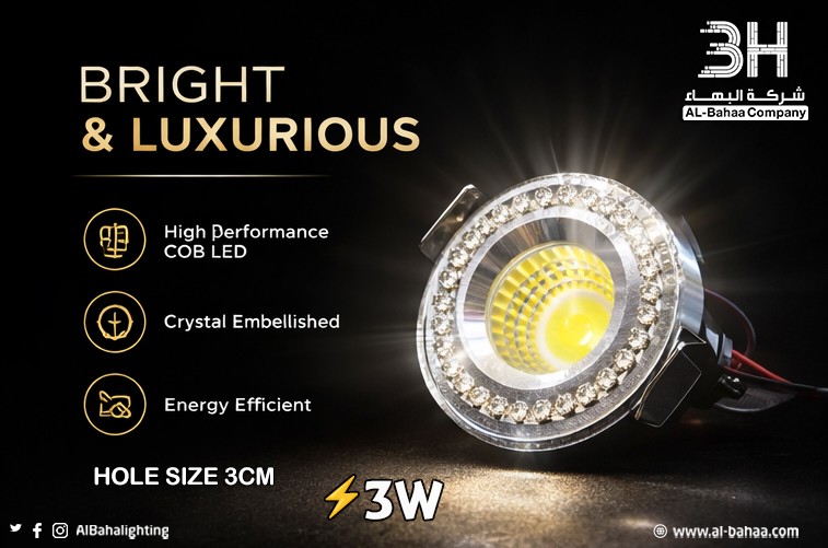 صورة المعرض