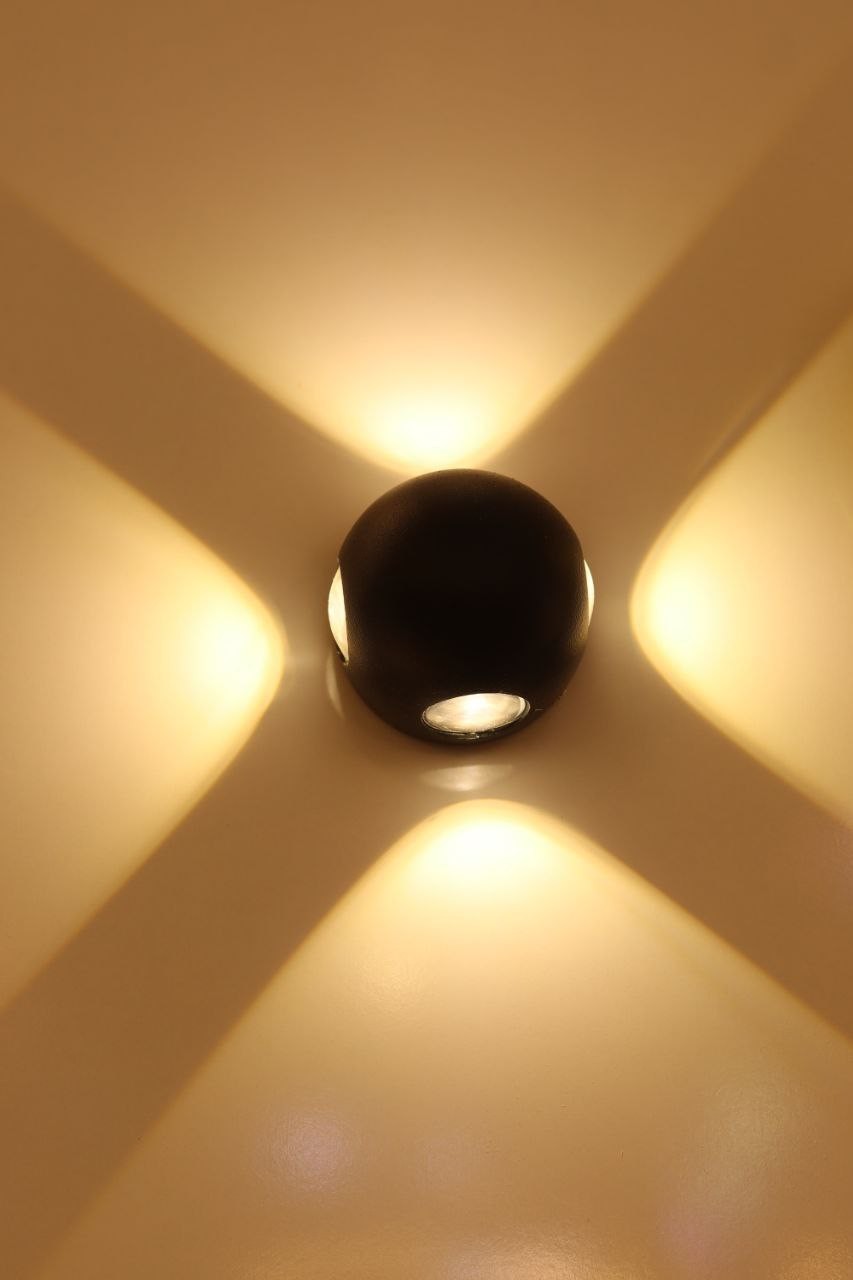 صورة المعرض