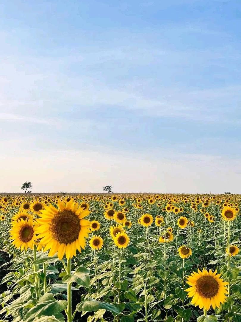 مشهد من السودان — Adventuresland #3