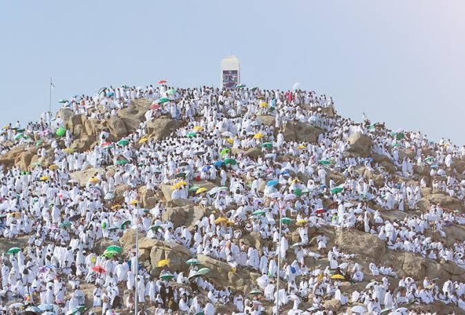 صورة القسم
