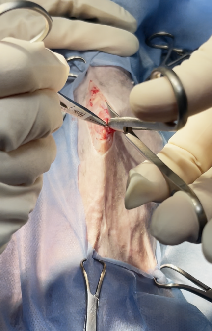 صورة المعرض