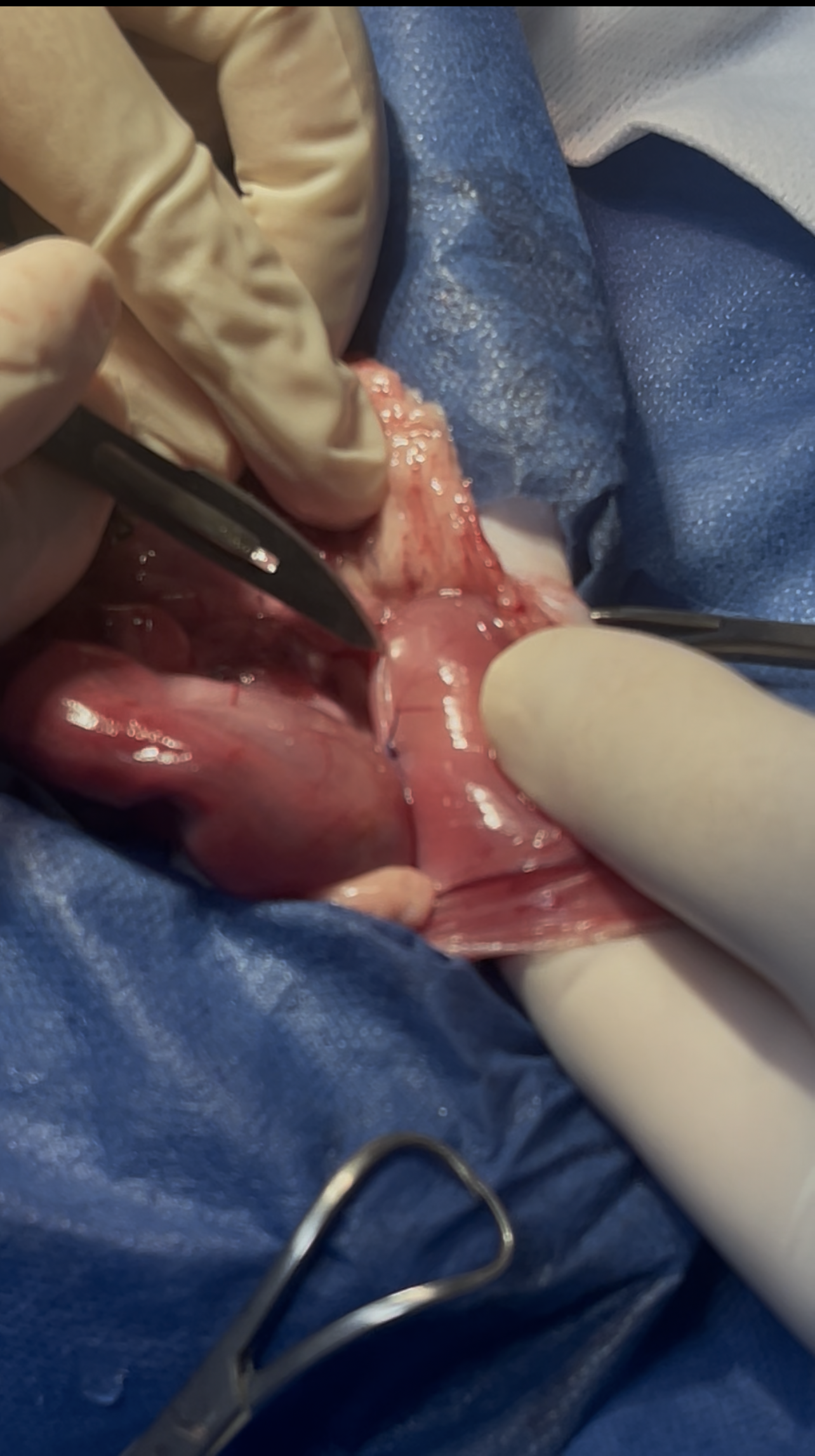 صورة المعرض