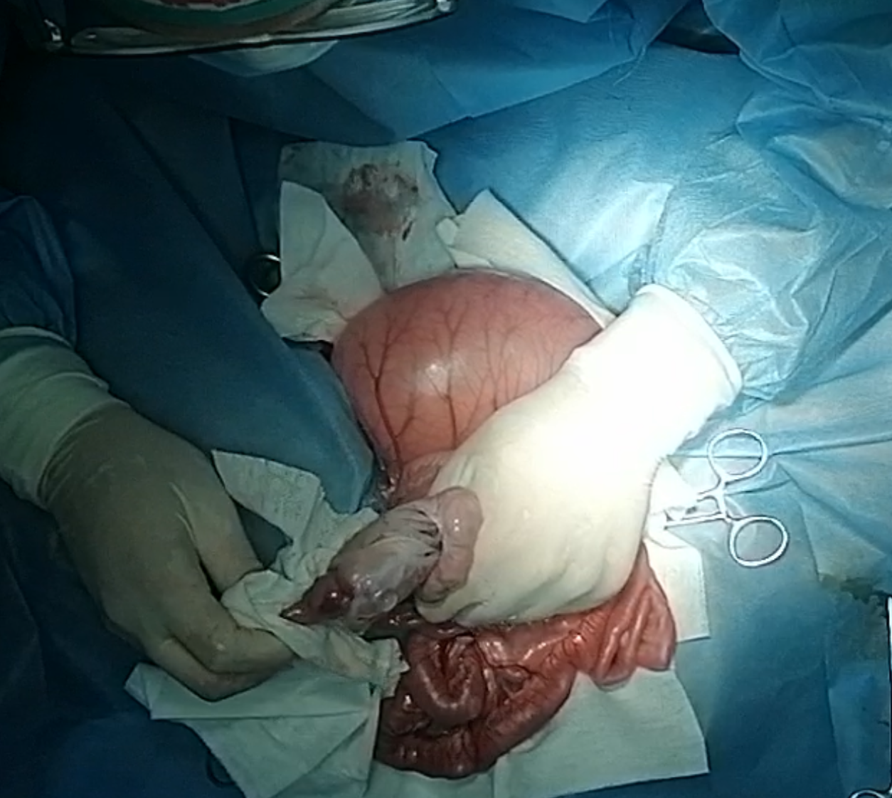 صورة المعرض