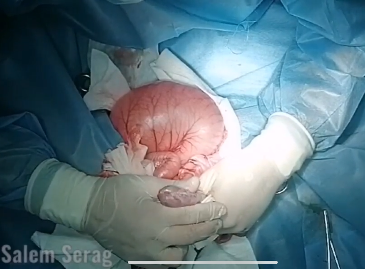 صورة المعرض