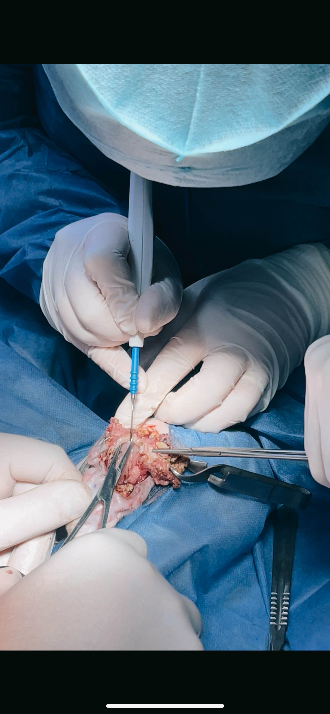 صورة المعرض