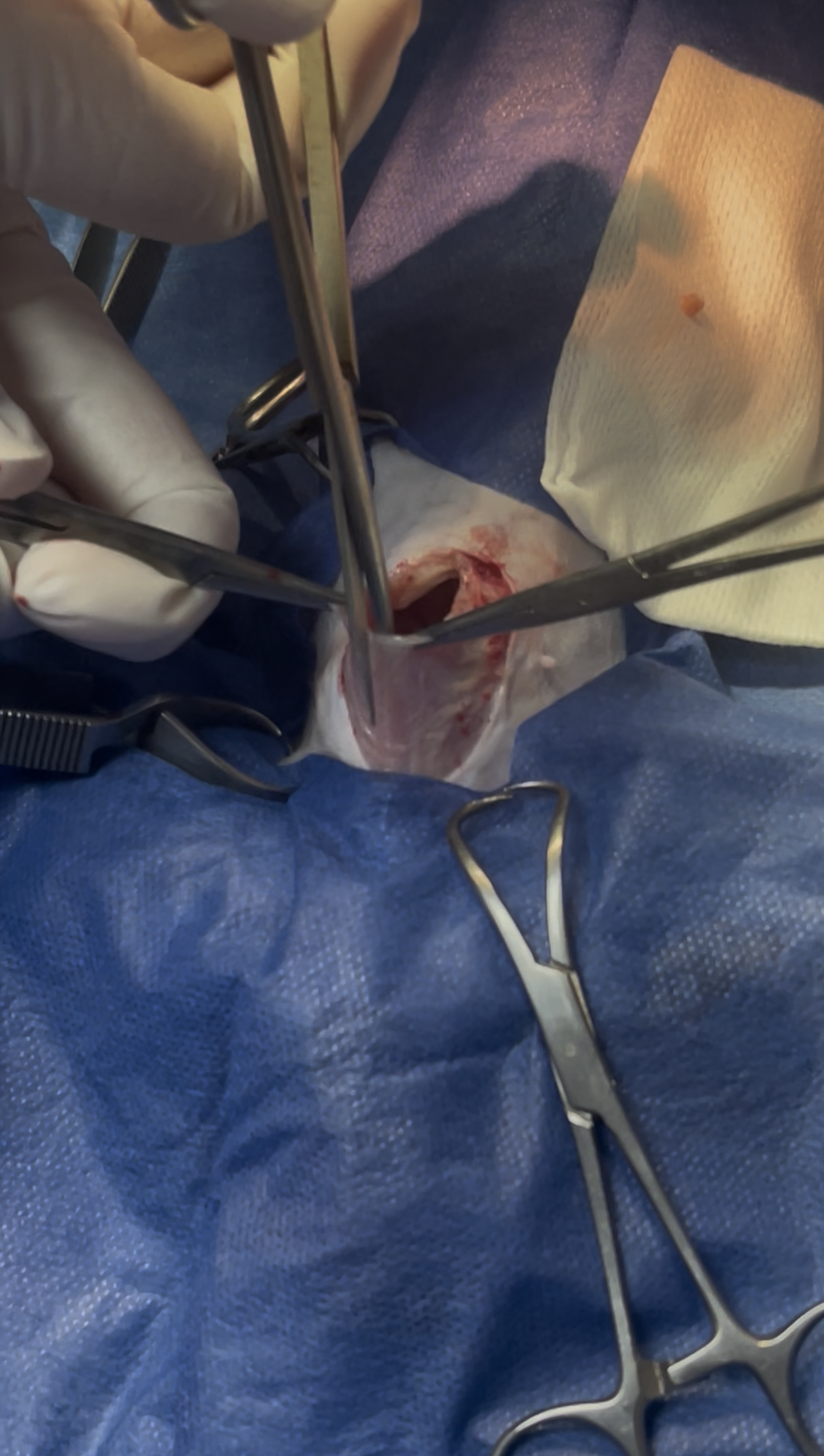 صورة المعرض