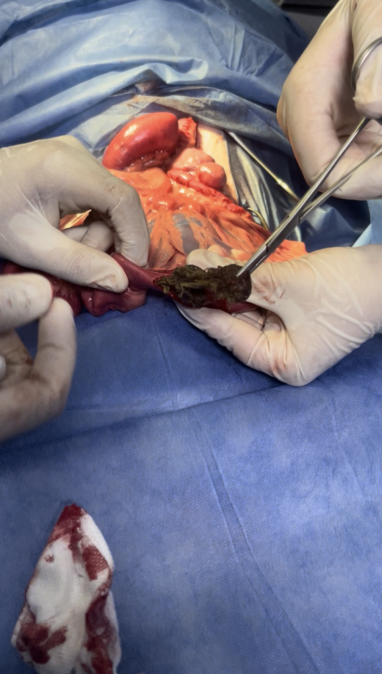 صورة المعرض