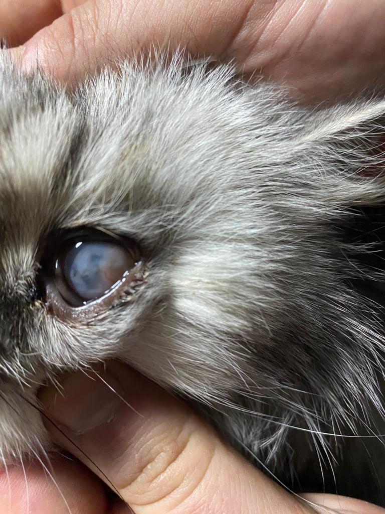 صورة المعرض