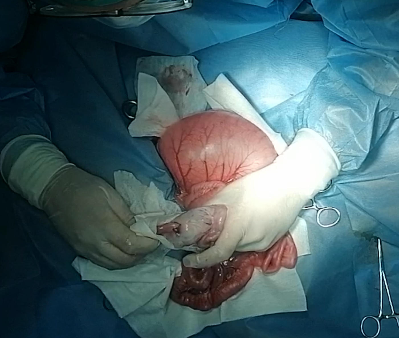 صورة المعرض