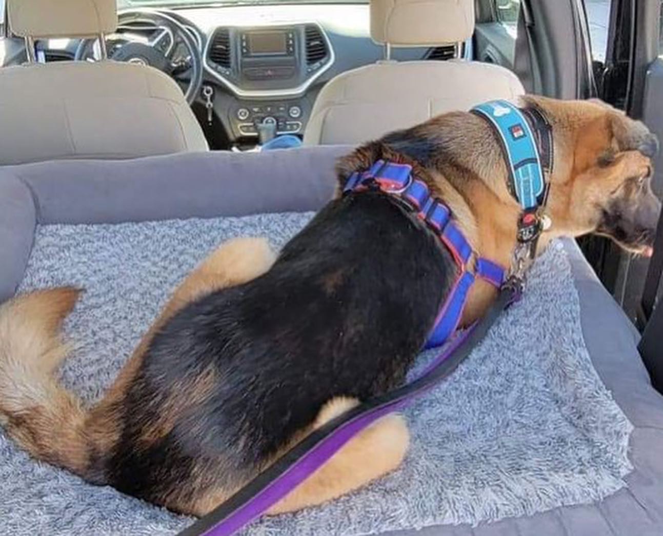 صورة المعرض