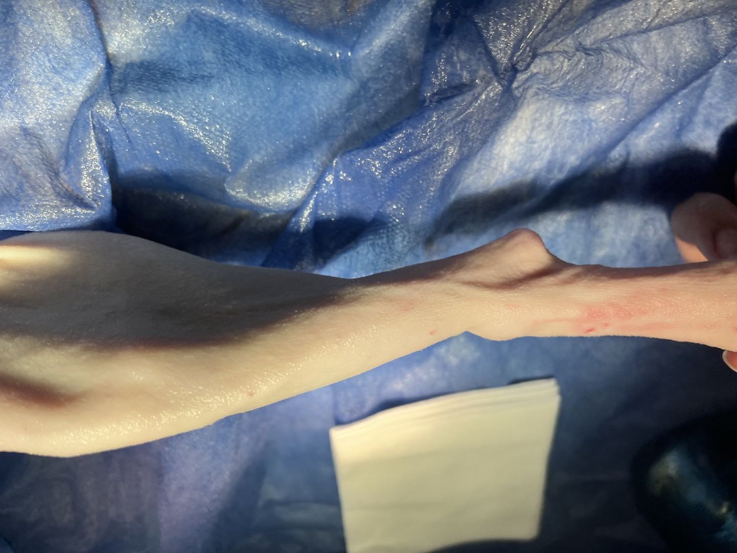 صورة المعرض