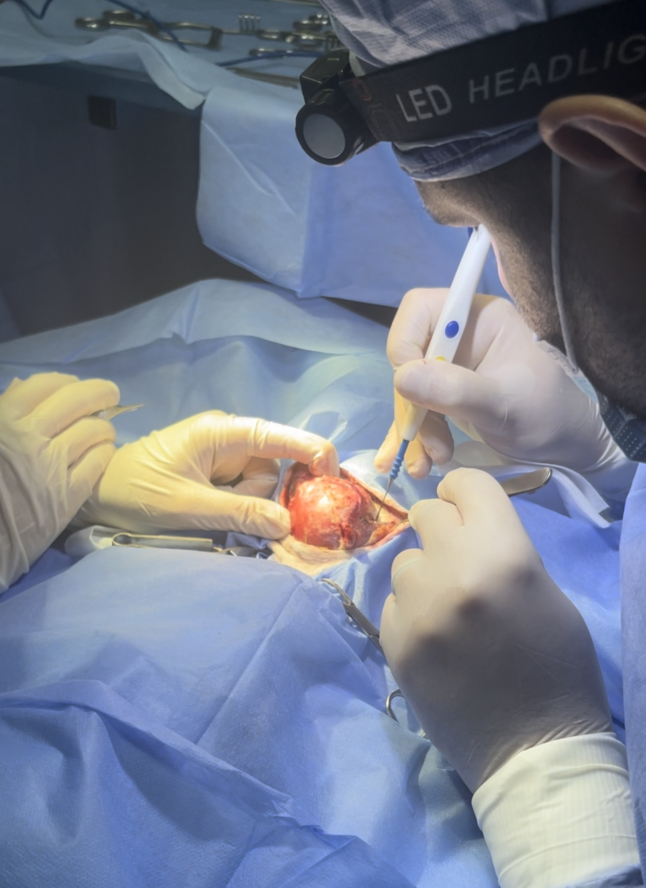 صورة المعرض