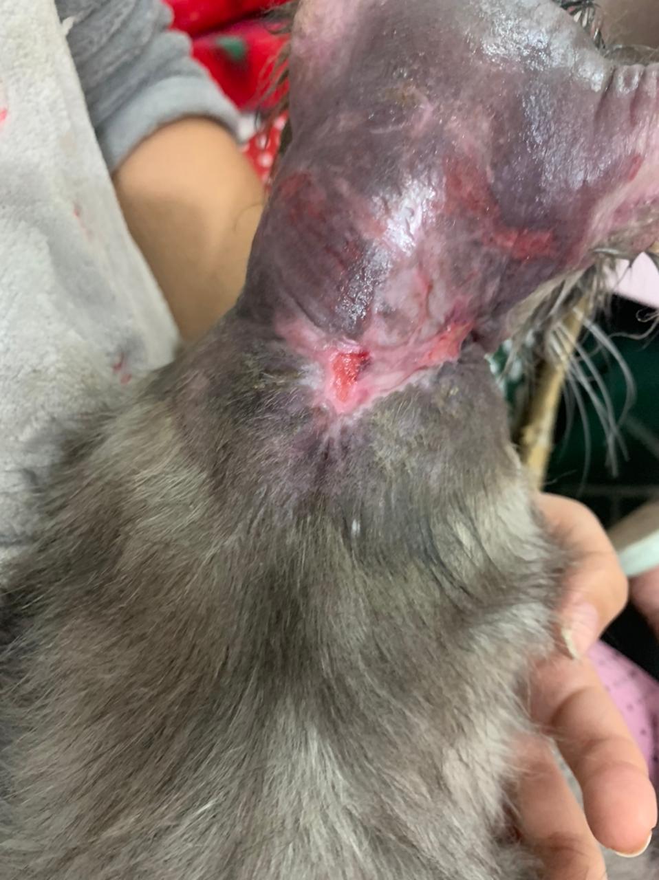 صورة المعرض