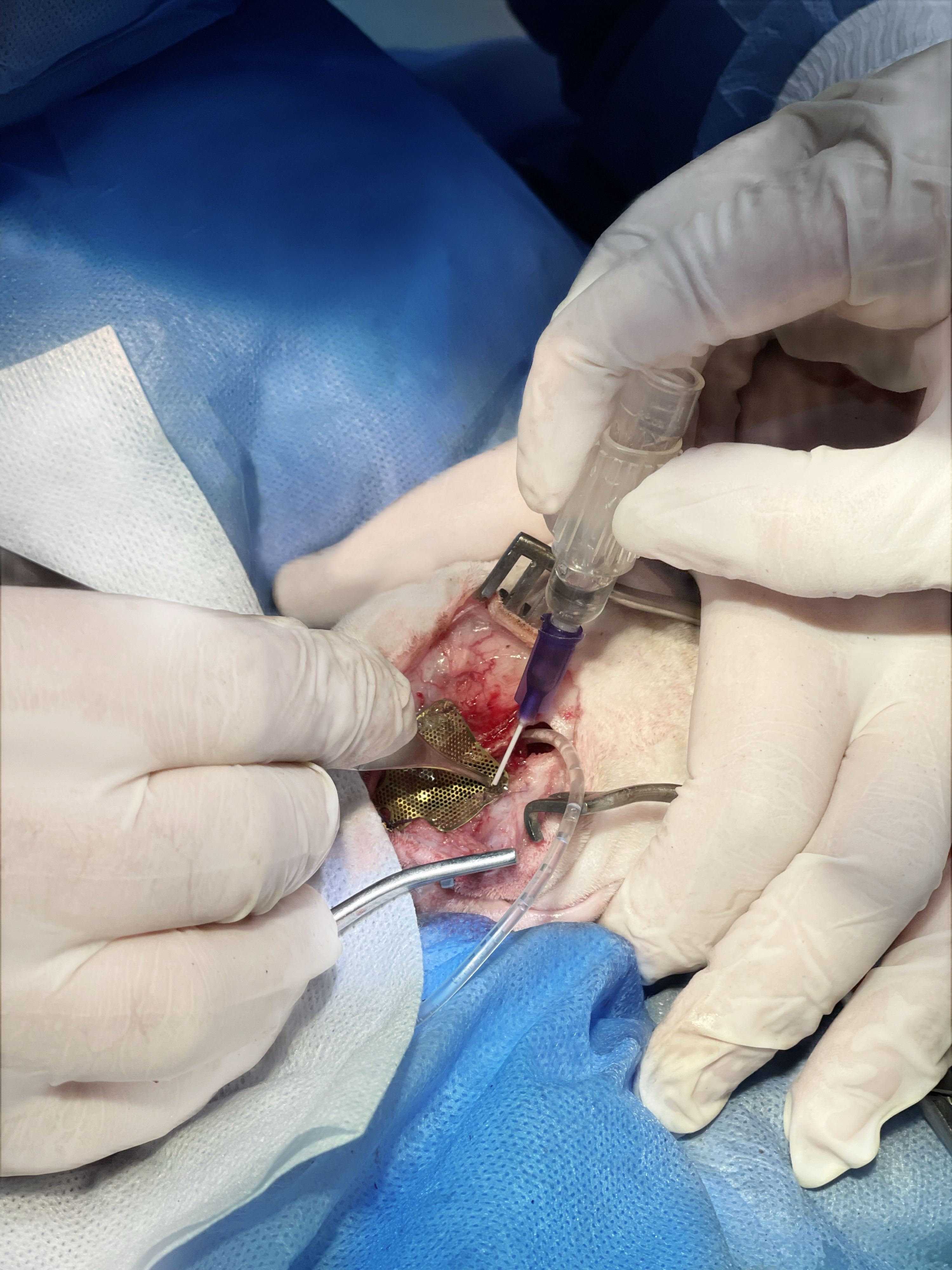 صورة المعرض