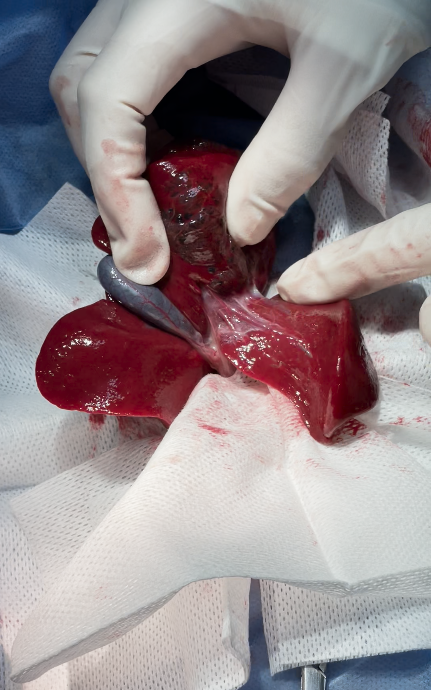 صورة المعرض