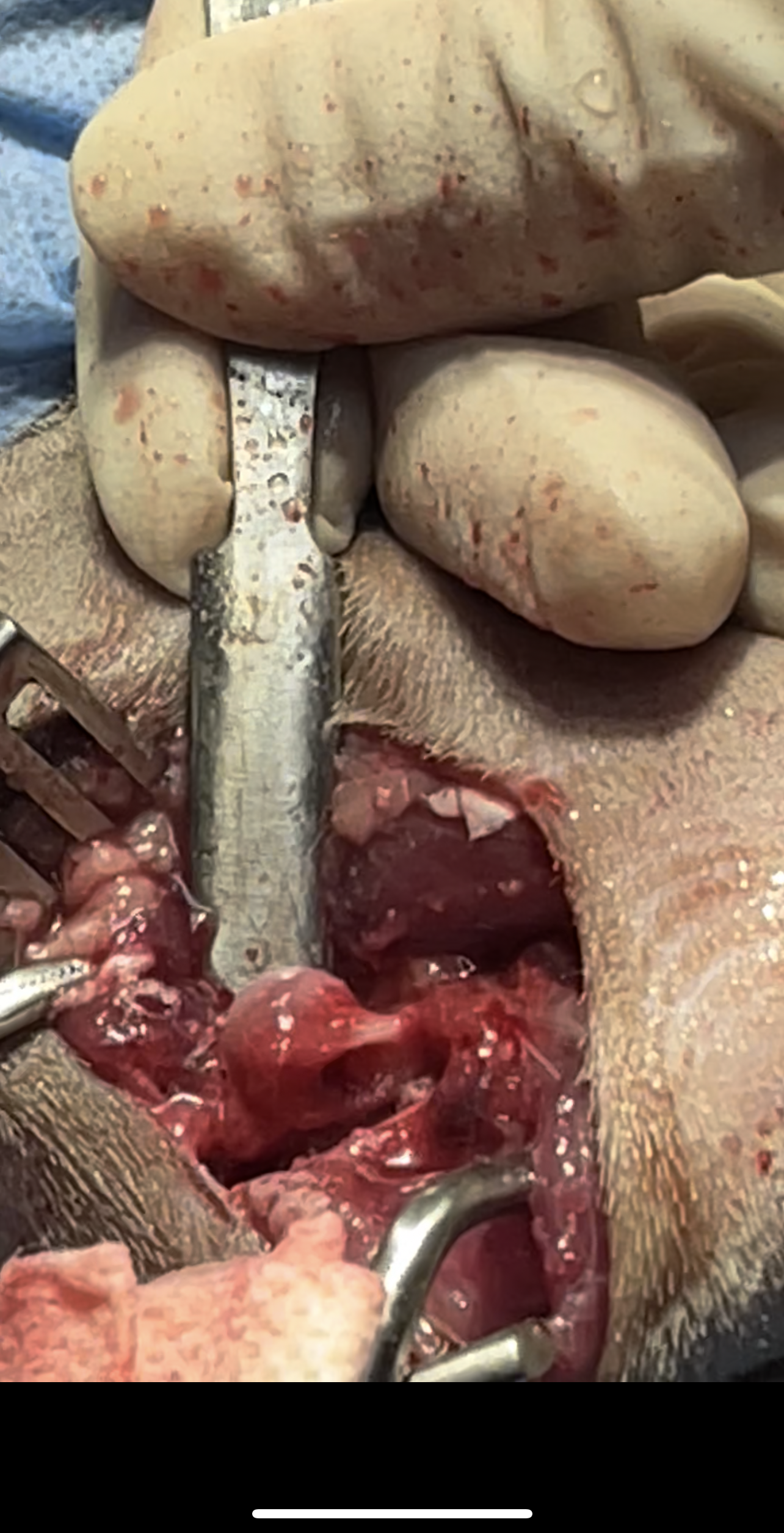 صورة المعرض