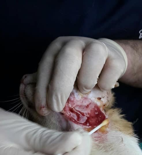 صورة المعرض