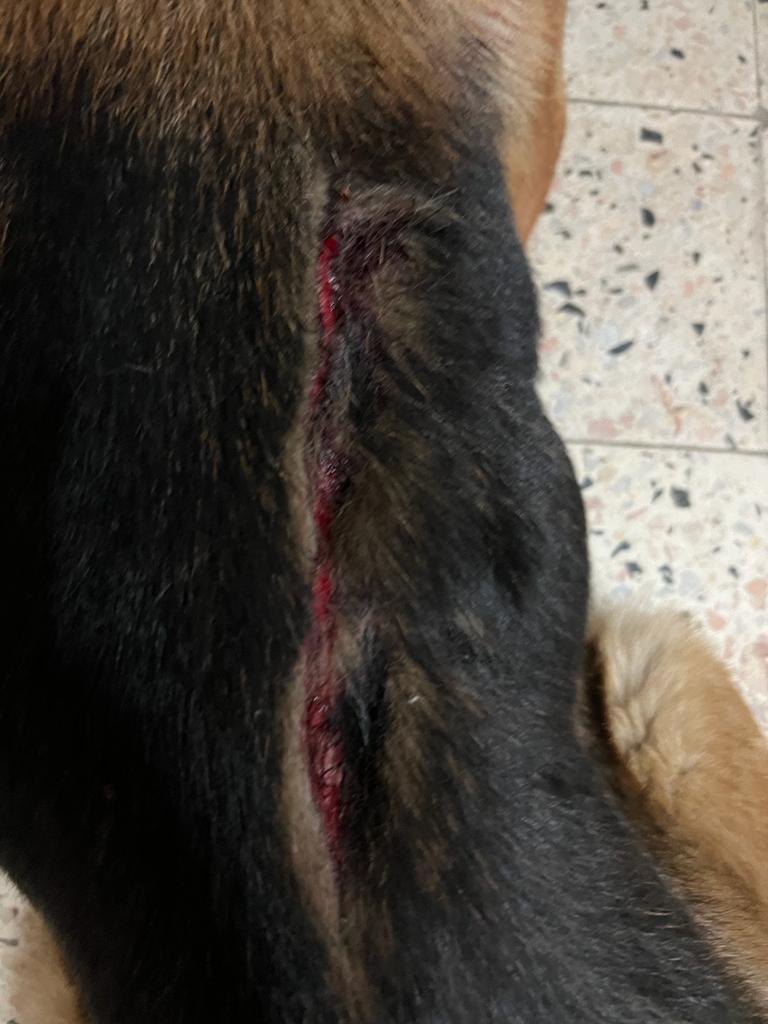 صورة المعرض