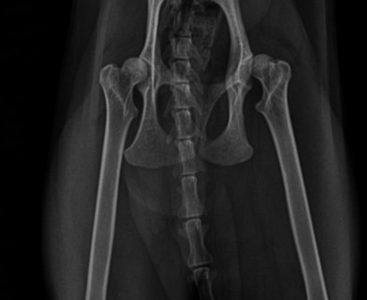 صورة المعرض