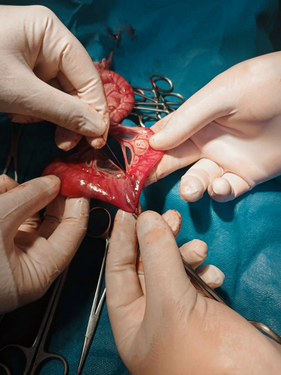 صورة المعرض