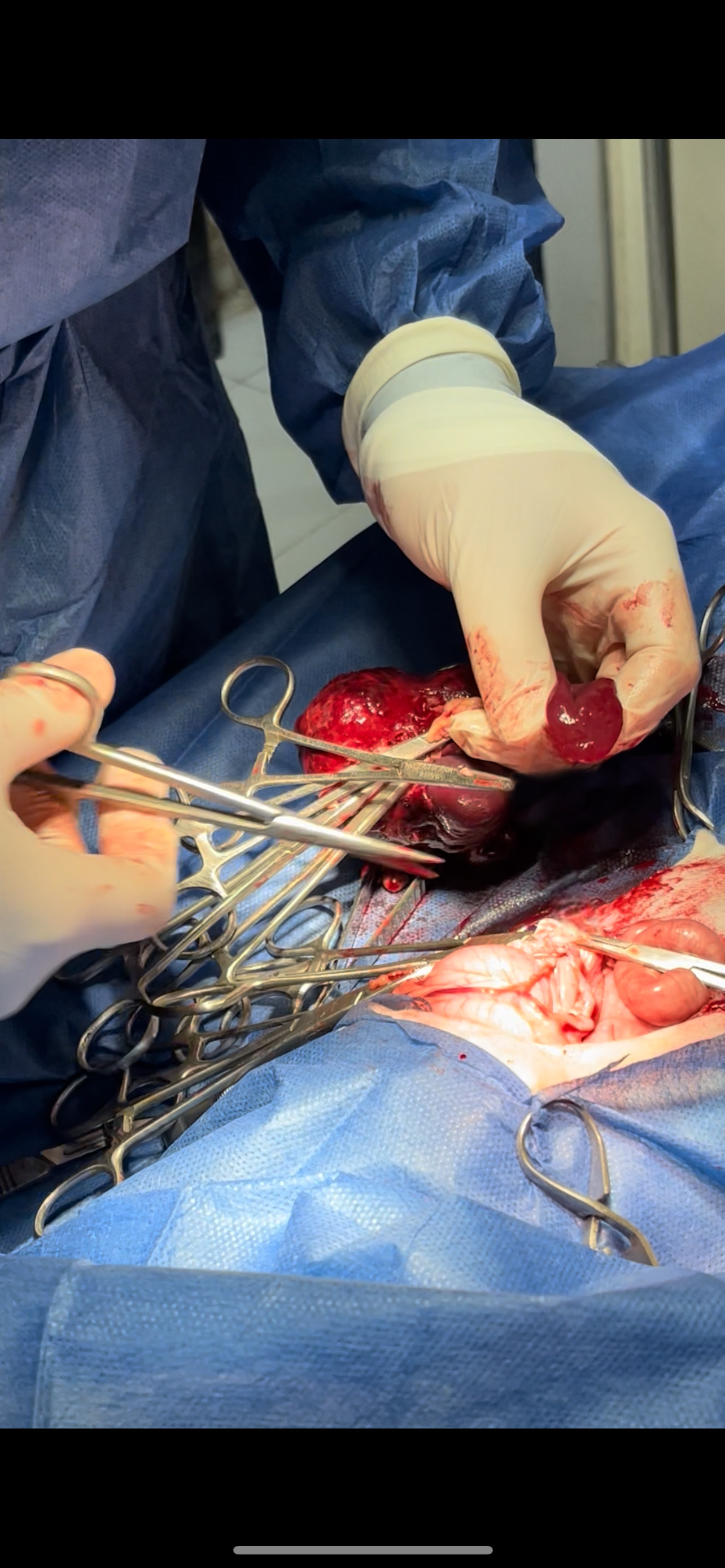 صورة المعرض