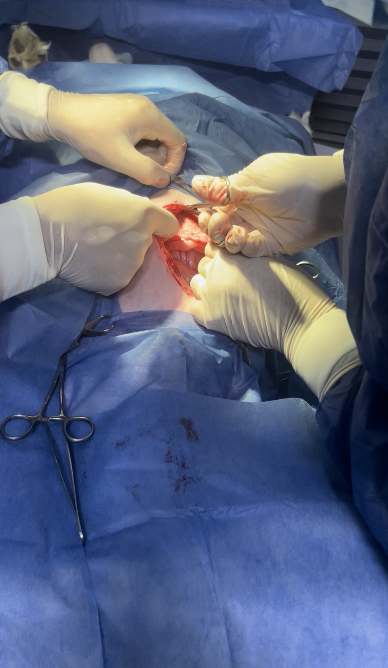 صورة المعرض