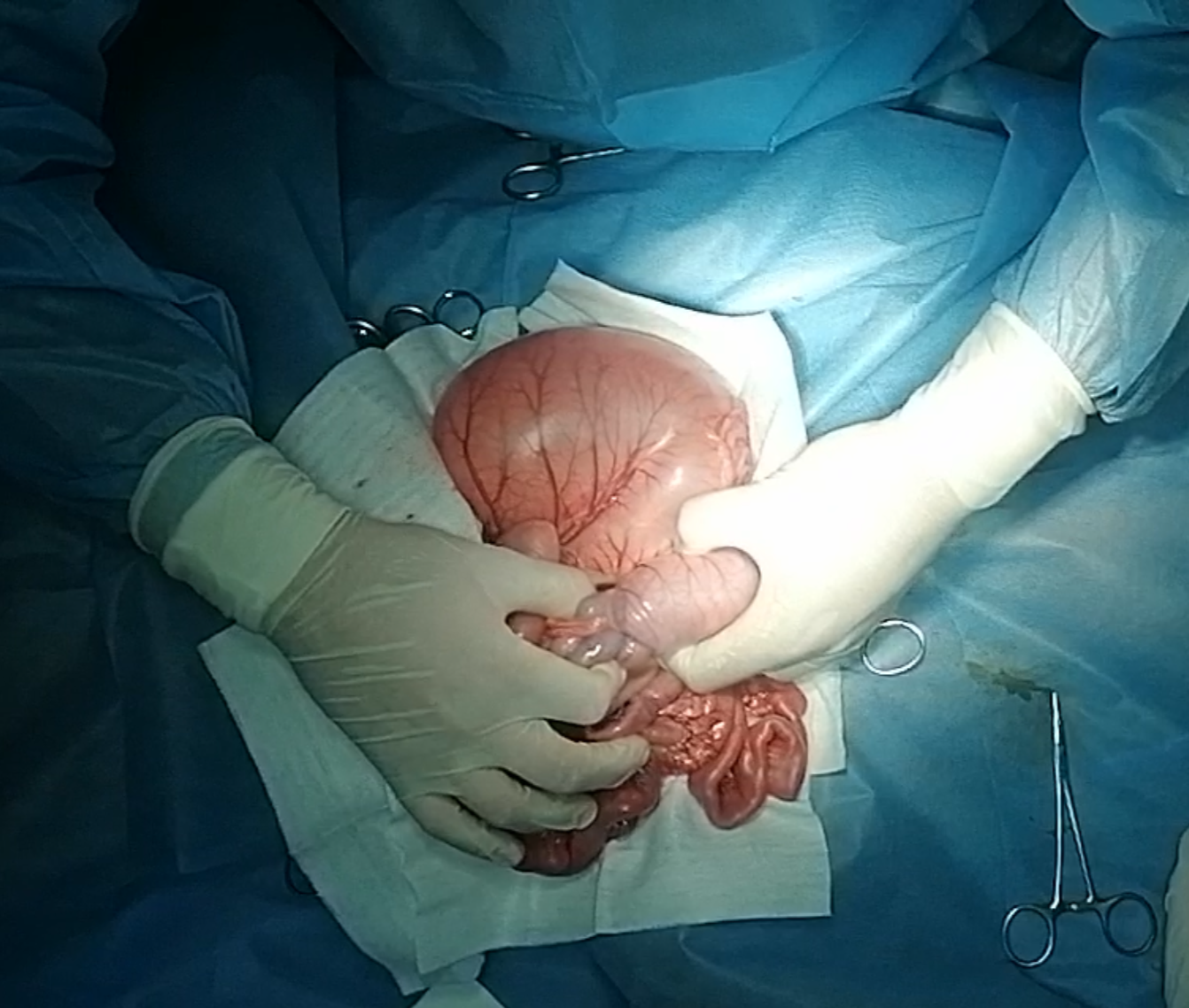 صورة المعرض