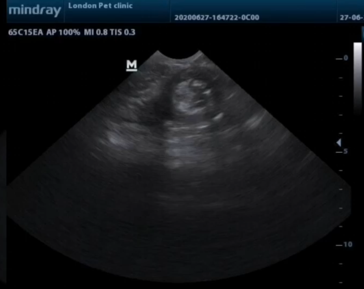 صورة المعرض