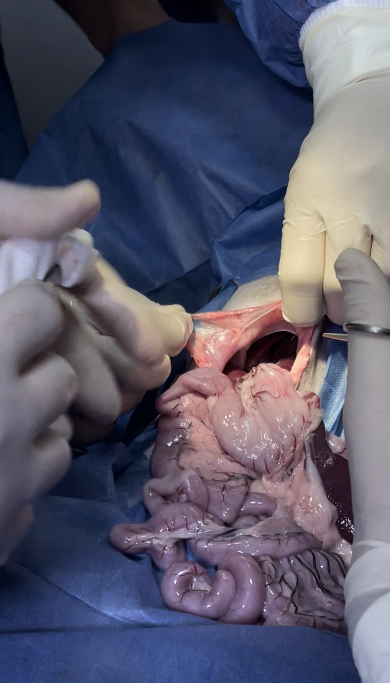 صورة المعرض